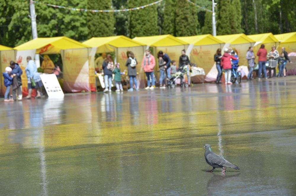 День Защиты детей в Центральном парке: фото День Защиты детей в Центральном парке: фото