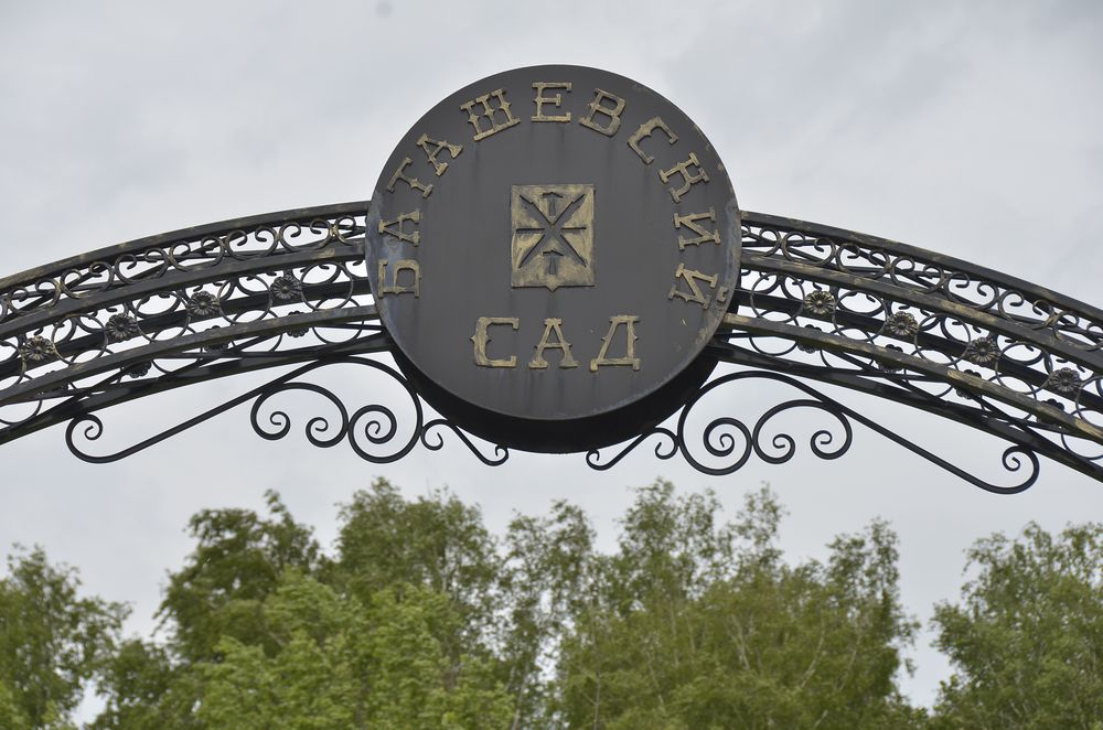 "Баташевский сад" сегодня: фоторепортаж "Баташевский сад" сегодня: фоторепортаж