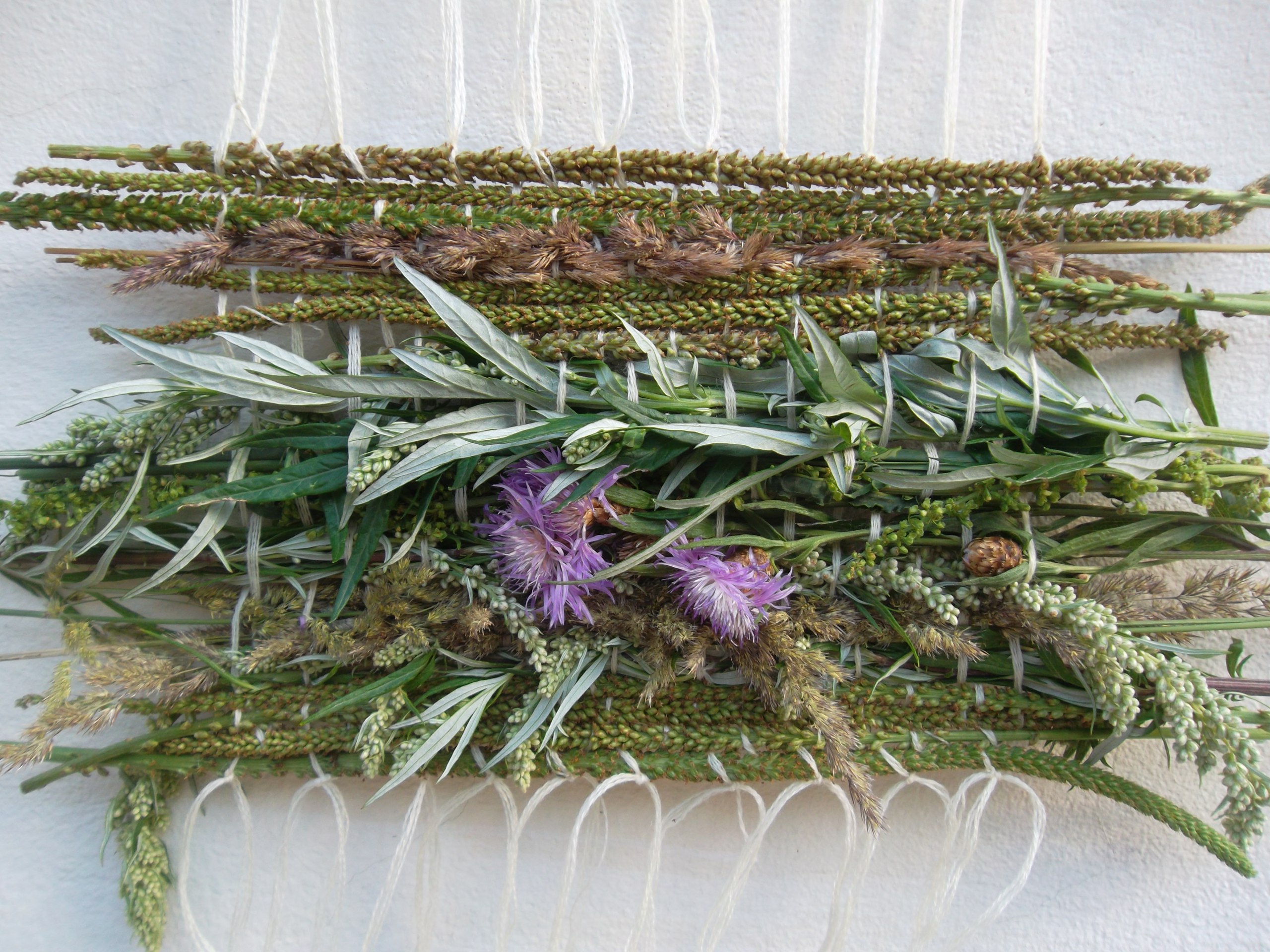 Кухонное панно Травы на нитке 100х50 см + КЛЕЙ