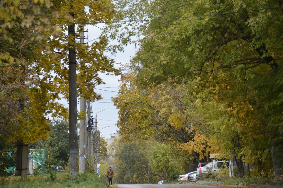 Осень в городе: ФОТО Осень в городе: ФОТО