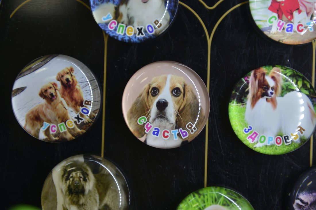 "Собачьи" подарочки на Новый год: ФОТО