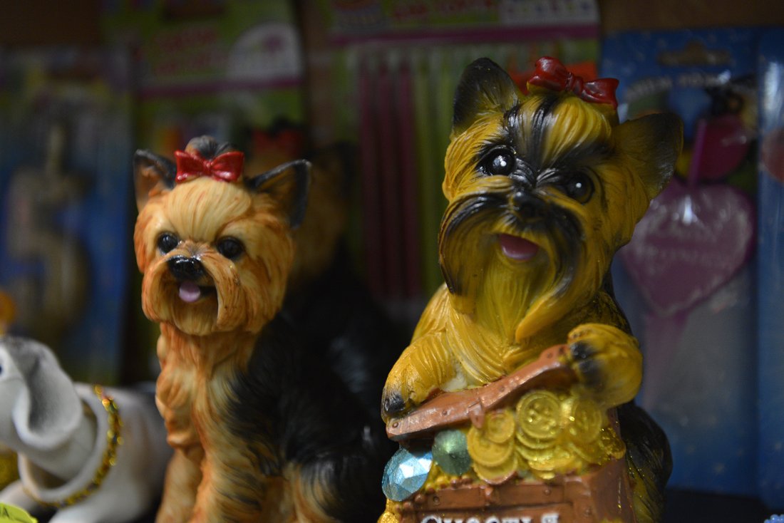 "Собачьи" подарочки на Новый год: ФОТО