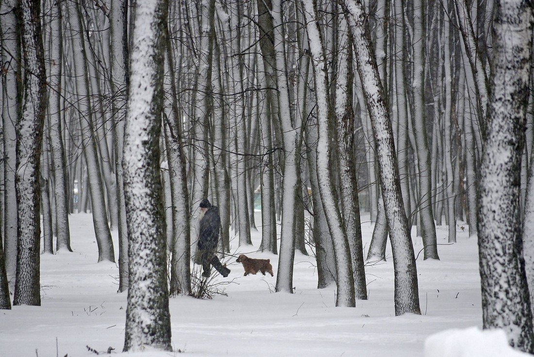 В Туле снежно: ФОТО