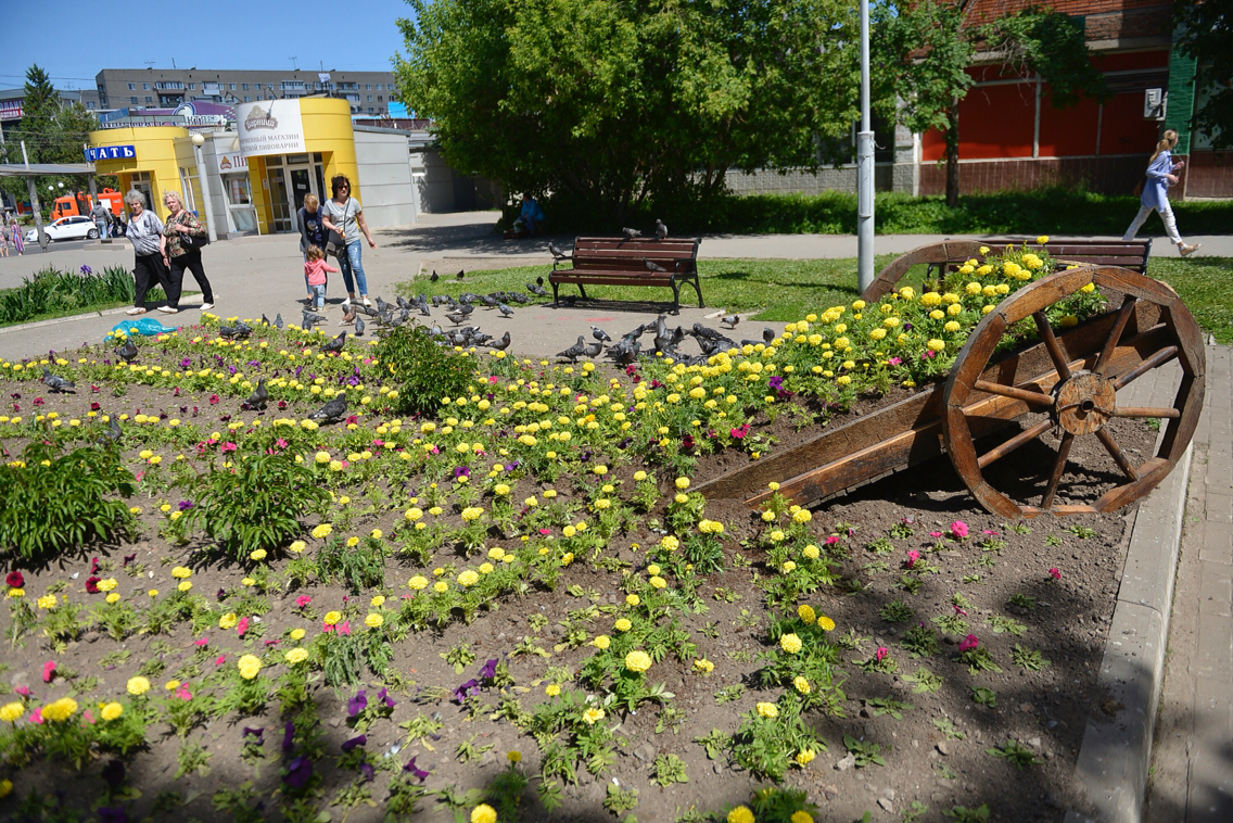 В Туле установили телегу с цветами: ФОТО