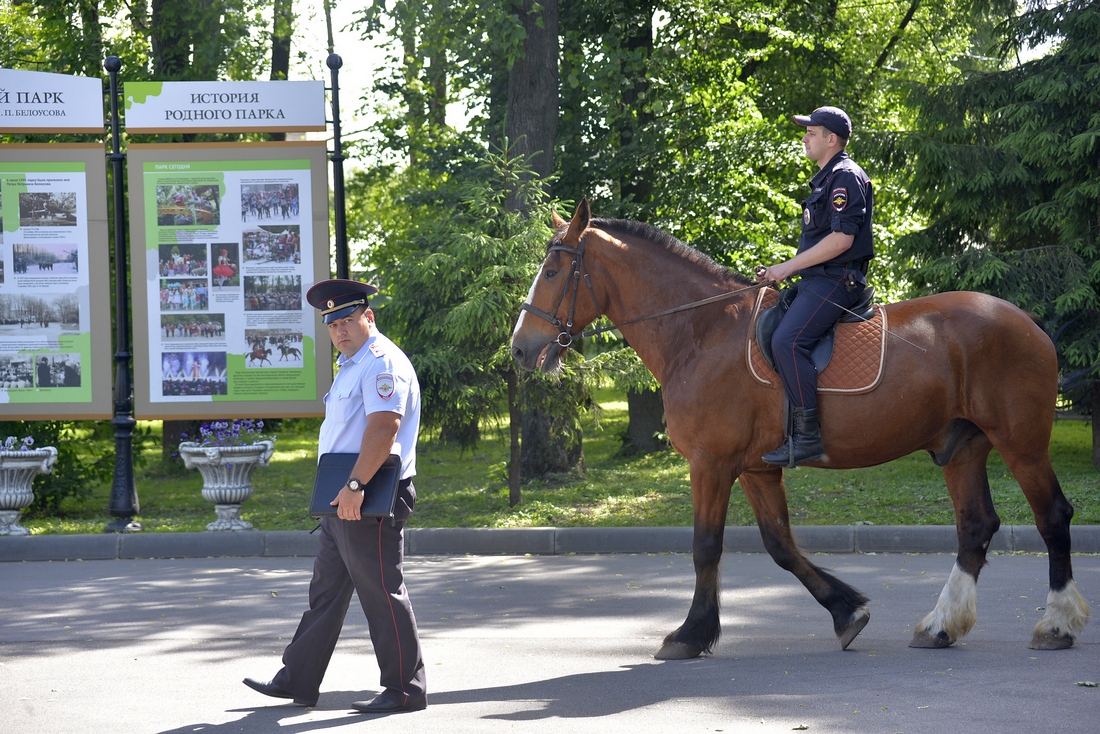 В ЦПКиО вышла на дежурство конная полиция: ФОТО