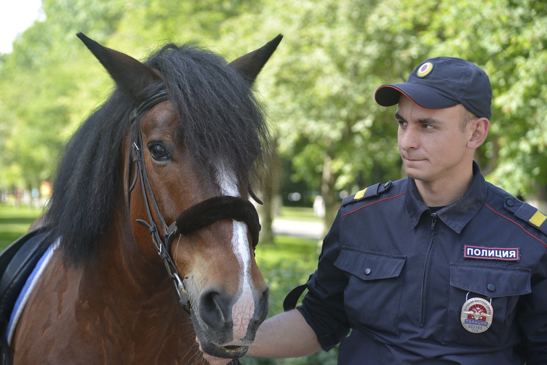 В ЦПКиО вышла на дежурство конная полиция: ФОТО