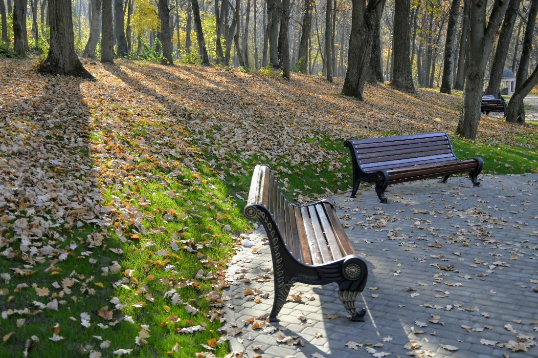 Золотая осень в Платоновском парке: ФОТО