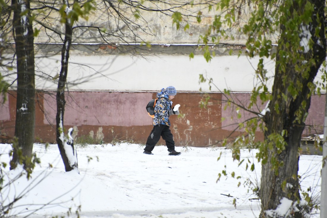 Снег в городе: ФОТО Снег в городе: ФОТО