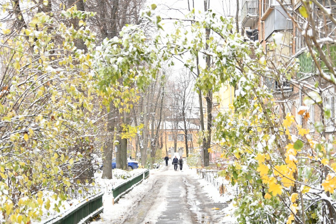 Снег в городе: ФОТО Снег в городе: ФОТО