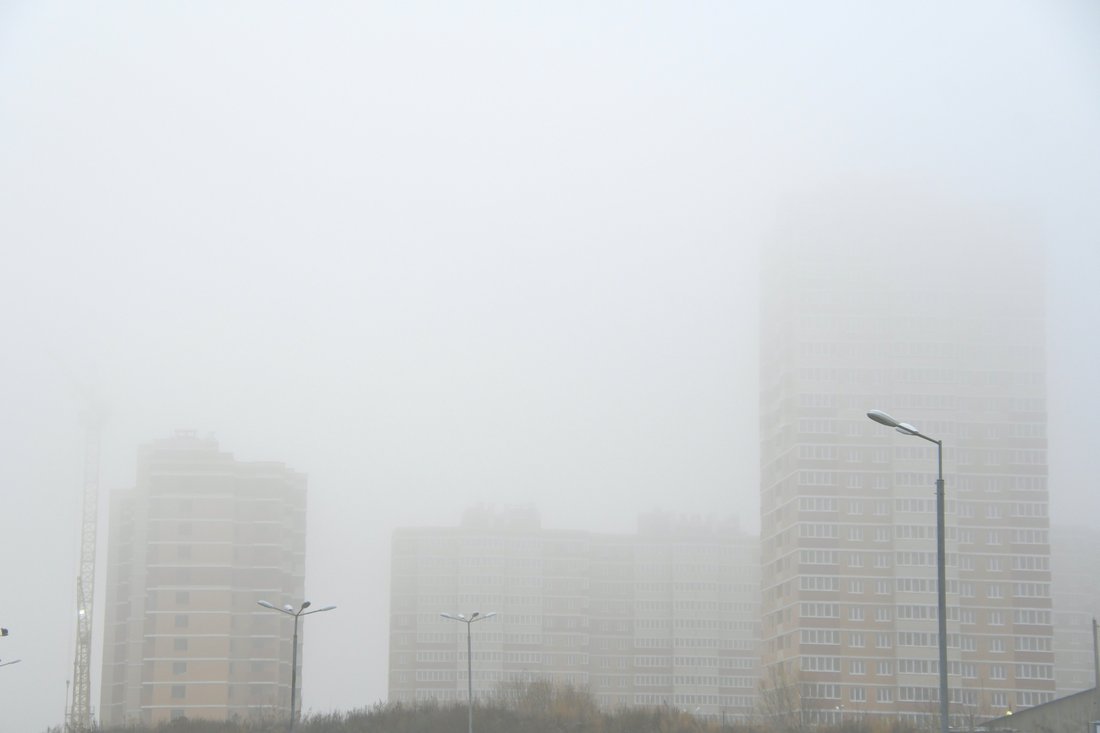 Ноябрьское утро. Туман и иней. ФОТО Ноябрьское утро. Туман и иней. ФОТО