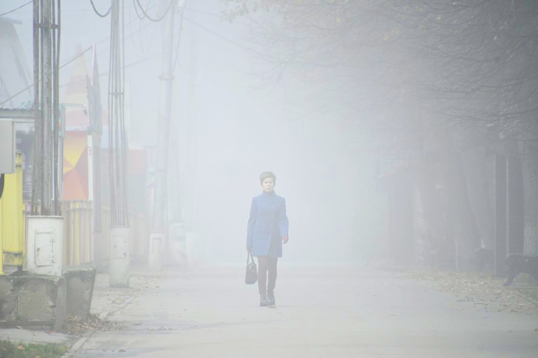 Прогулка в тумане: ФОТО