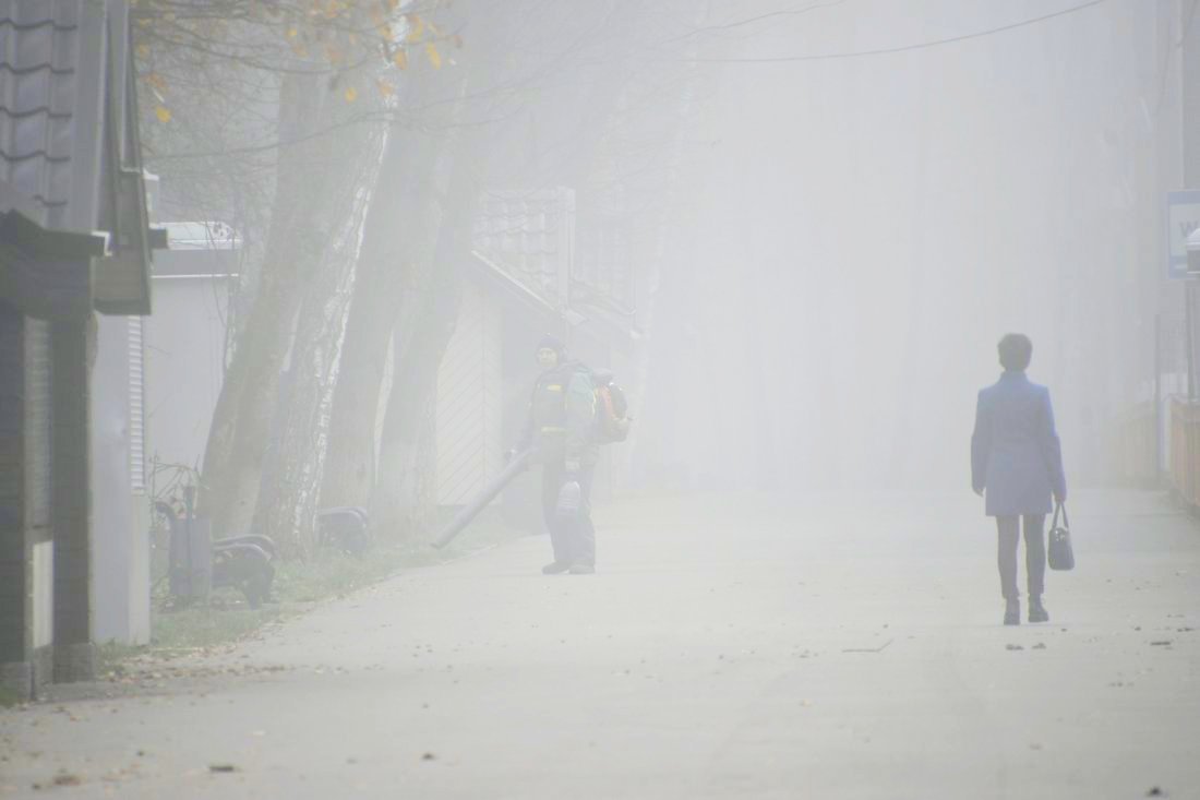 Прогулка в тумане: ФОТО