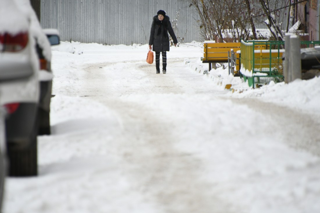 В Туле первый большой снег: ФОТО