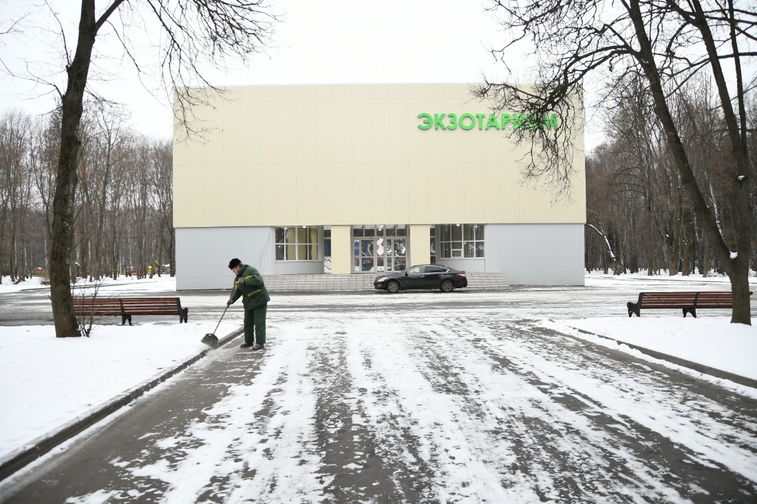 Жители нового экзотариума: ФОТО Жители нового экзотариума: ФОТО