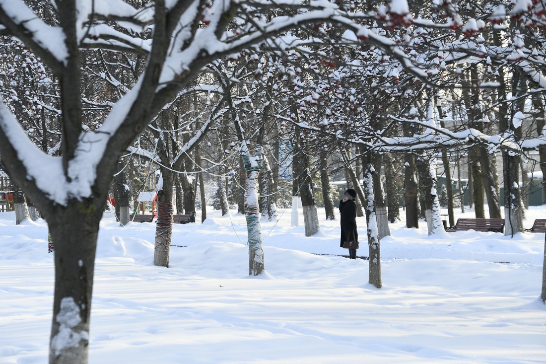 Прогулка в зимнем парке