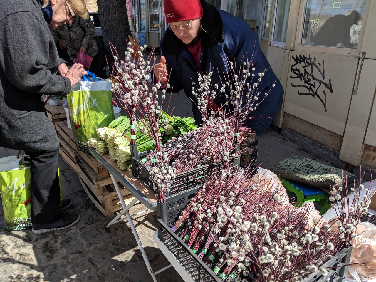 В Туле начали продавать вербу | 17.04.2019 | Общество | Центр71 - все  новости Тулы