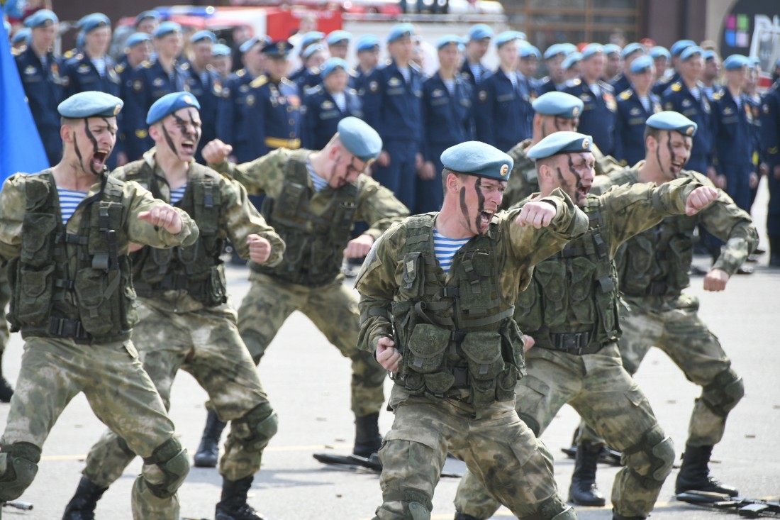 106 Дивизия ВДВ Донской