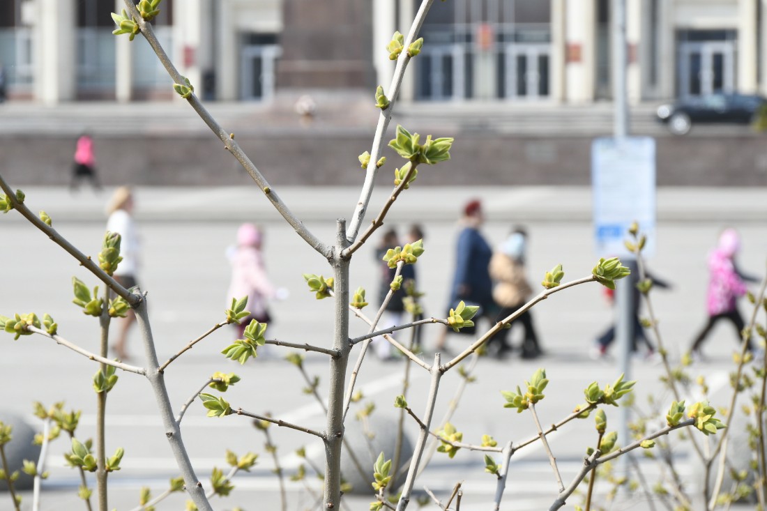 Весна в городе: ФОТО
