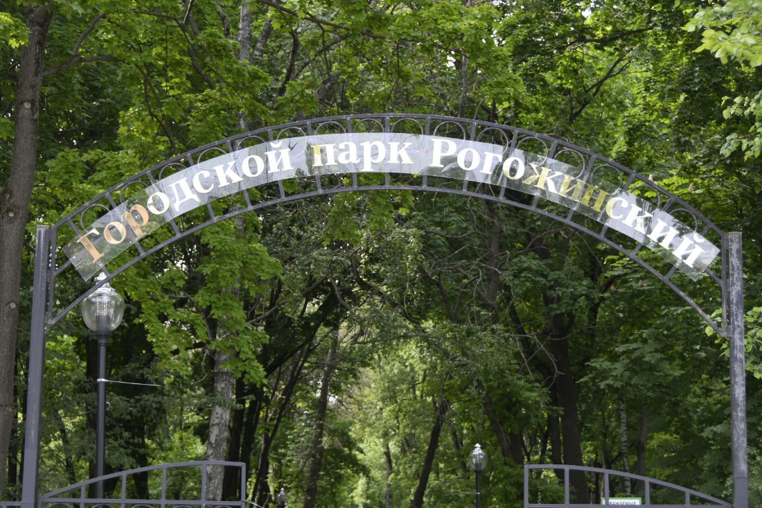 Благоустройство Рогожинского парка: ФОТО