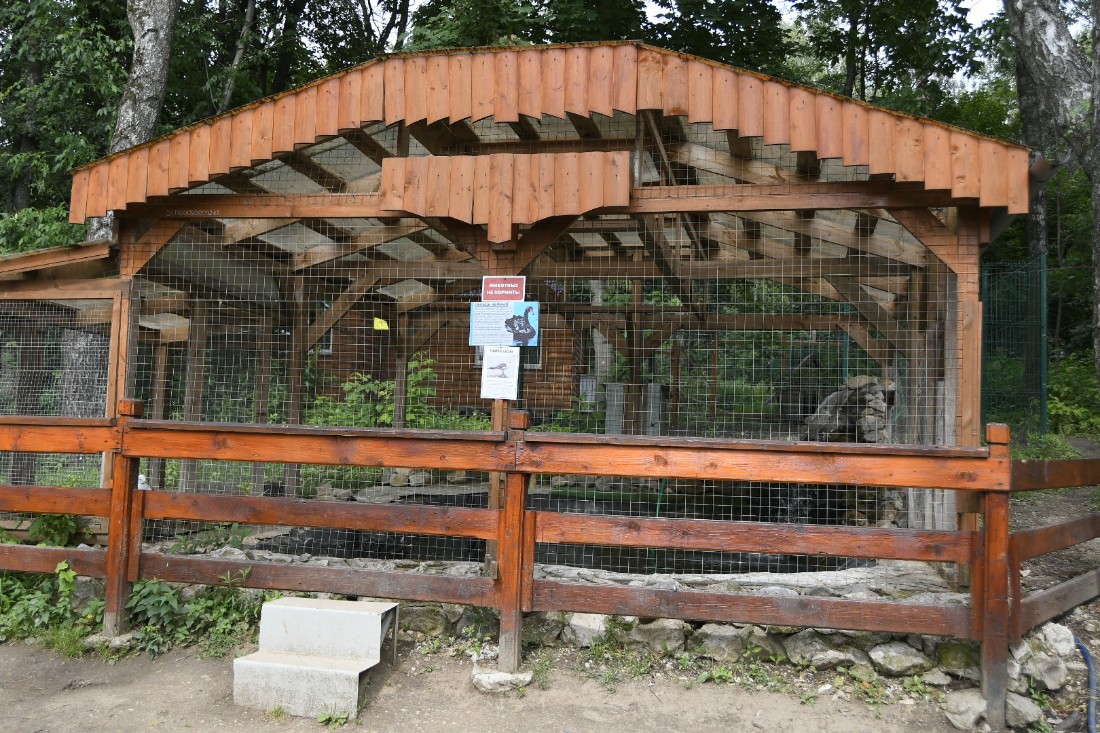 Новый домик для лебедей в парке: ФОТО