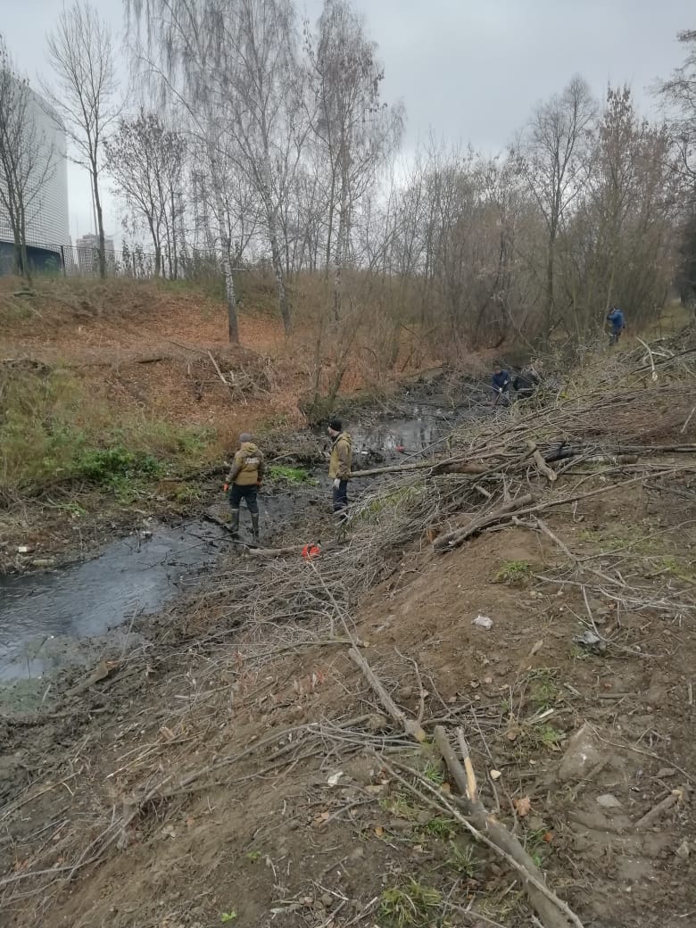 В Туле расчистили русло реки Рогожня | 28.10.2019 | Общество | Центр71 -  все новости Тулы