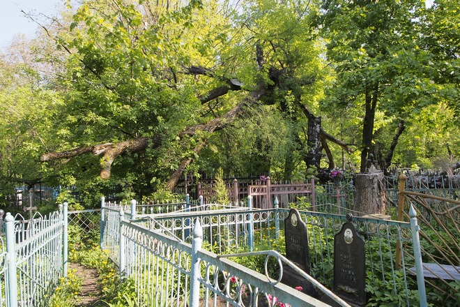 Горняцкое кладбище Тулы; фоторепортаж