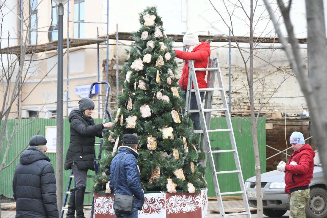 Создание креативных елок: ФОТО Создание креативных елок: ФОТО