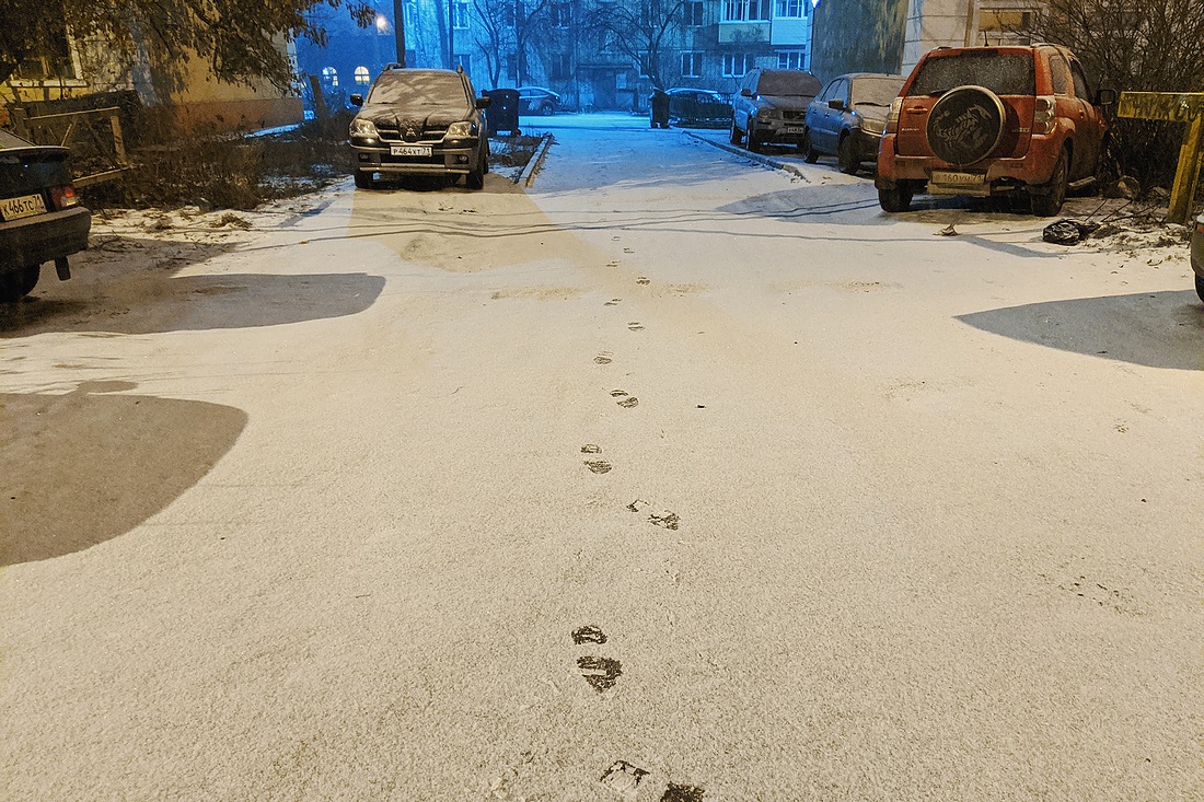 Утренний снег Утренний снег