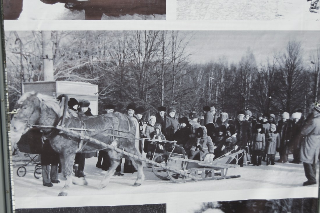 "Зима в парке", выставка ретро фотографий: ФОТО "Зима в парке", выставка ретро фотографий: ФОТО