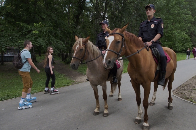 Фоторепортаж: Конная полиция в Центральном парке