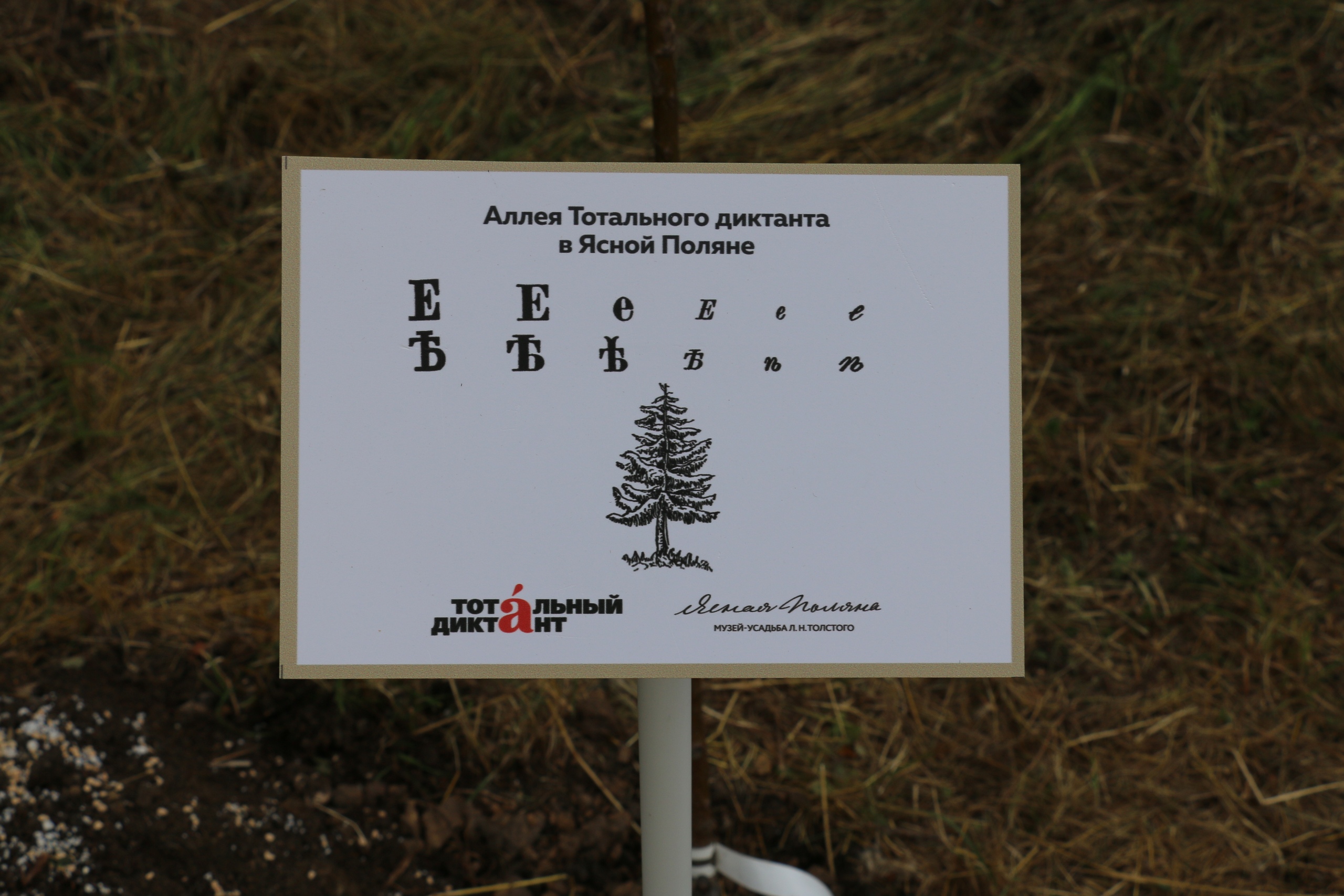 Высадка аллеи "Тотального диктанта" в Ясной Поляне: ФОТО
