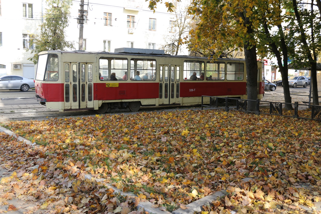 Тула в золотом наряде осени: ФОТО Тула в золотом наряде осени: ФОТО