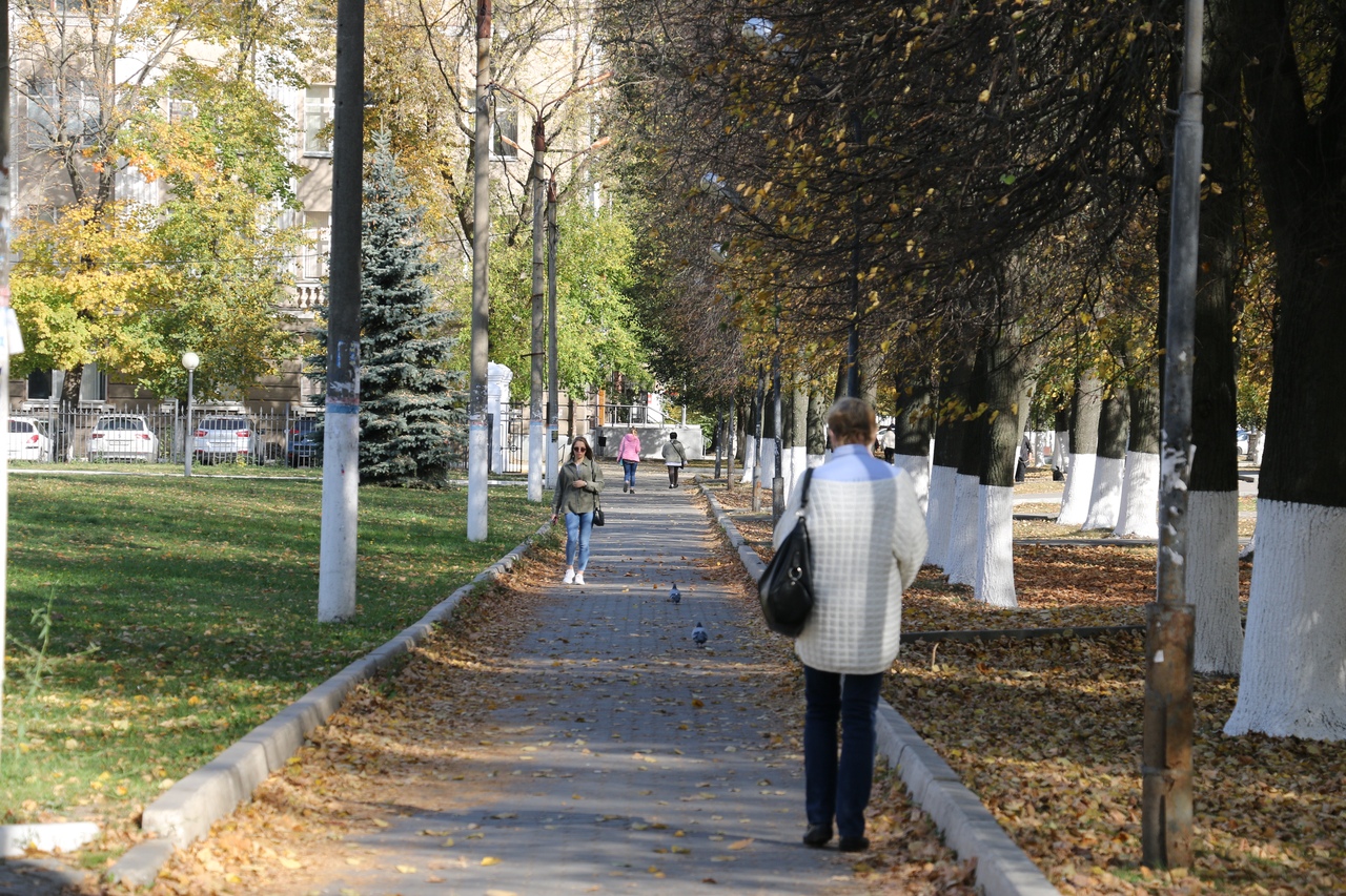 Тула в золотом наряде осени: ФОТО Тула в золотом наряде осени: ФОТО