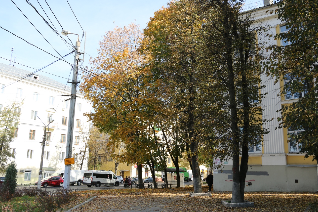 Тула в золотом наряде осени: ФОТО Тула в золотом наряде осени: ФОТО