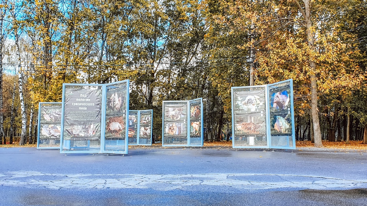 "Под пологом тропического леса": в тульском ЦПКиО им. П.П. Белоусова открылась новая фотовыставка "Под пологом тропического леса": в тульском ЦПКиО им. П.П. Белоусова открылась новая фотовыставка