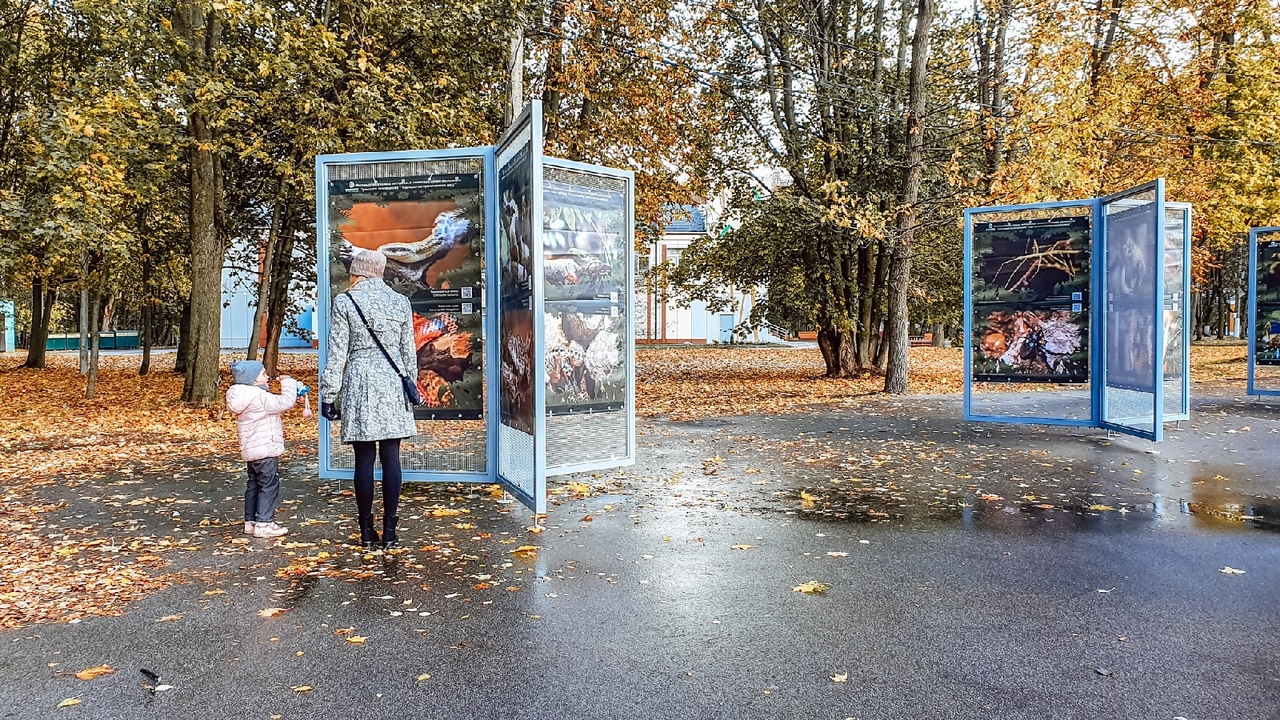 "Под пологом тропического леса": в тульском ЦПКиО им. П.П. Белоусова открылась новая фотовыставка "Под пологом тропического леса": в тульском ЦПКиО им. П.П. Белоусова открылась новая фотовыставка