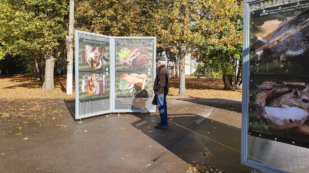 "Под пологом тропического леса": в тульском ЦПКиО им. П.П. Белоусова открылась новая фотовыставка "Под пологом тропического леса": в тульском ЦПКиО им. П.П. Белоусова открылась новая фотовыставка
