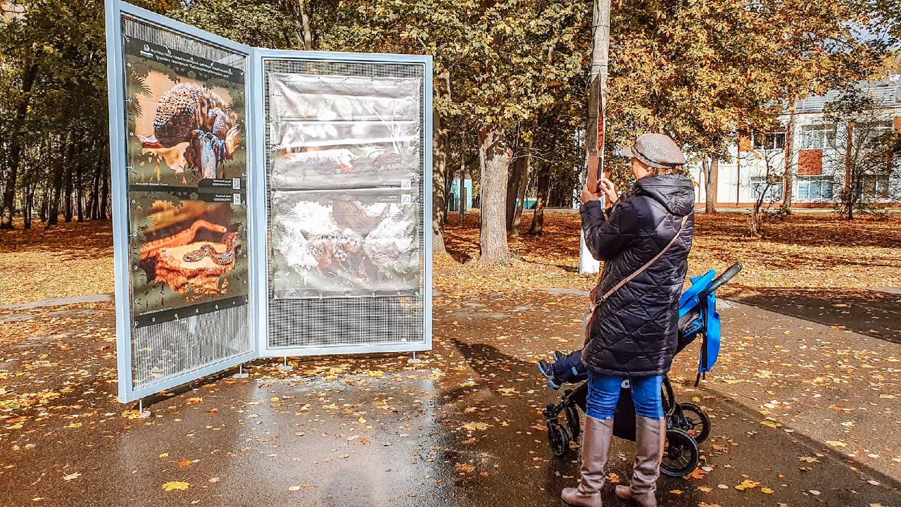 "Под пологом тропического леса": в тульском ЦПКиО им. П.П. Белоусова открылась новая фотовыставка "Под пологом тропического леса": в тульском ЦПКиО им. П.П. Белоусова открылась новая фотовыставка