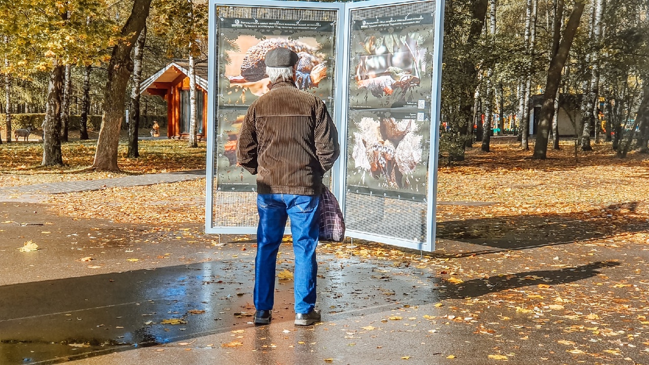 "Под пологом тропического леса": в тульском ЦПКиО им. П.П. Белоусова открылась новая фотовыставка "Под пологом тропического леса": в тульском ЦПКиО им. П.П. Белоусова открылась новая фотовыставка