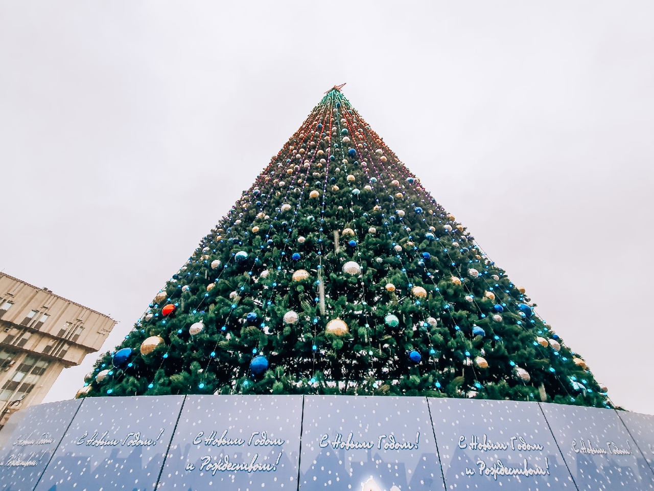 Главную новогоднюю елку Тулы украсили гирлянды и шары: ФОТО
