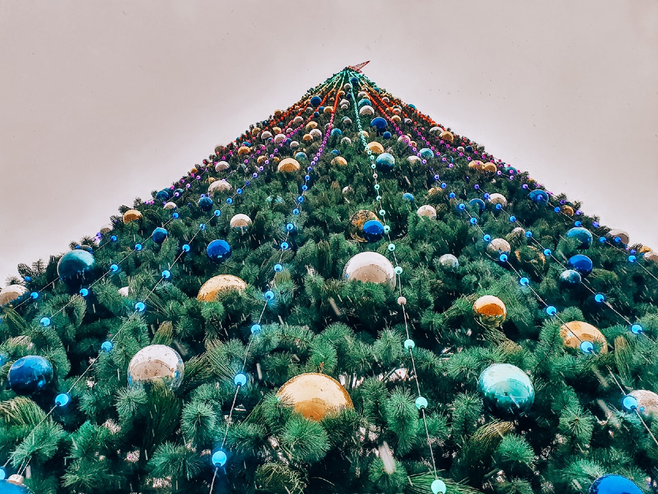 Главную новогоднюю елку Тулы украсили гирлянды и шары: ФОТО