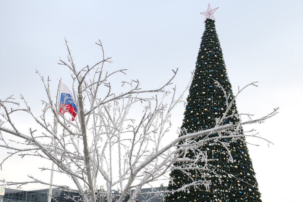 В Туле площадь Ленина преображается к Новому году: ФОТО