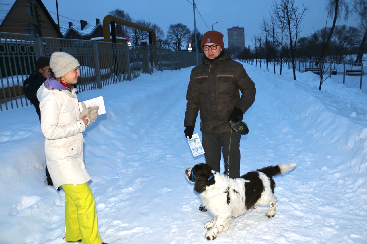 Собачий рейд в Центральном парке Тулы 25 февраля: фоторепортаж