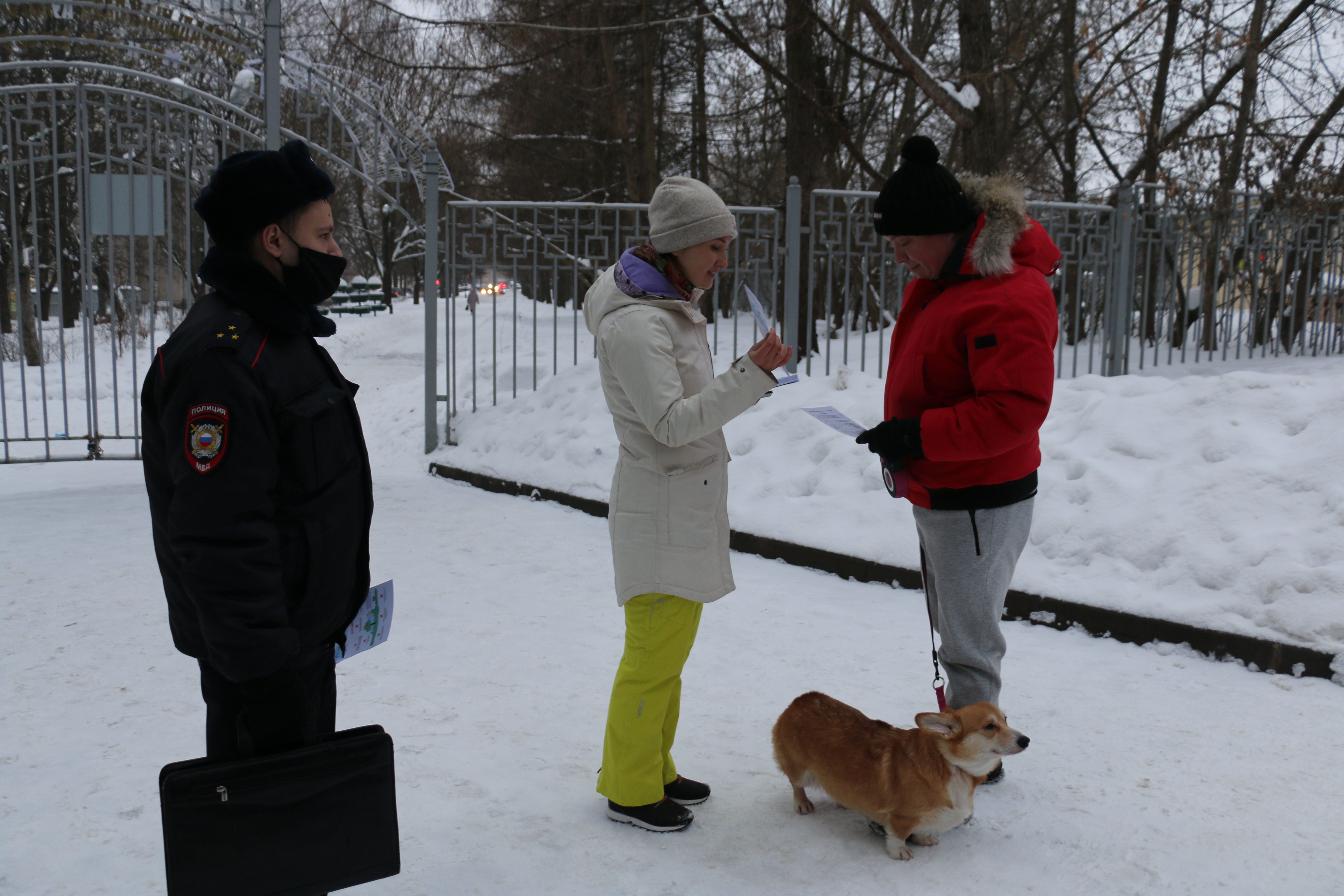 Собачий рейд в Центральном парке Тулы 25 февраля: фоторепортаж