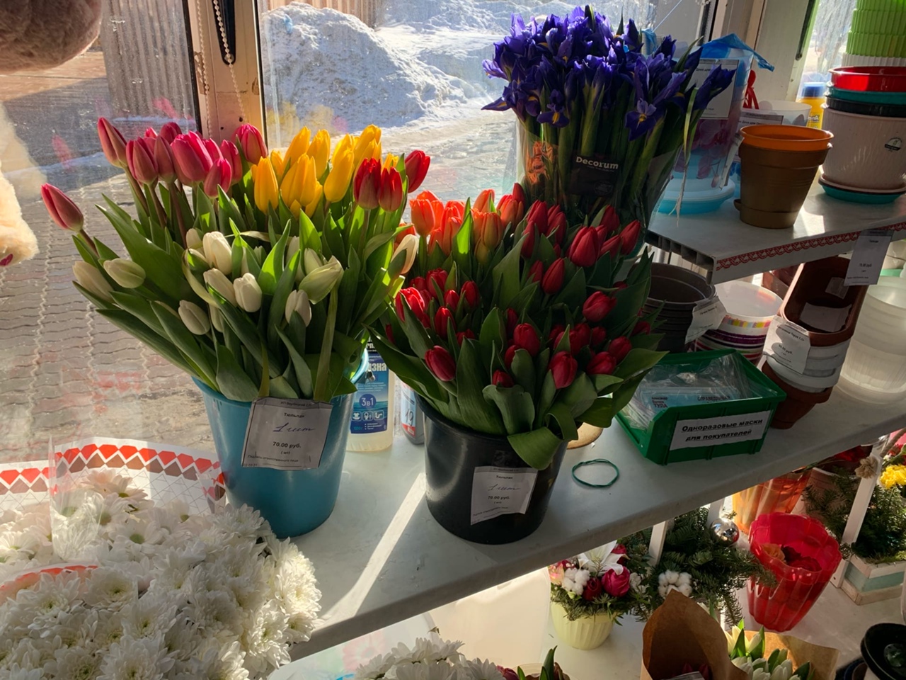 Цветочный базар на улицах Тулы в преддверии Международного женского дня: фоторепортаж