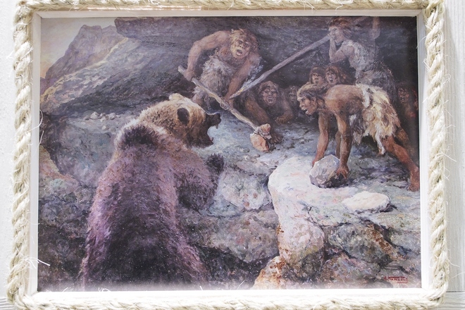 Выставка работ А. Н. Комарова из Дарвиновского музея; фоторепортаж