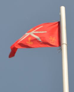 Флаг Тульской Области Фото