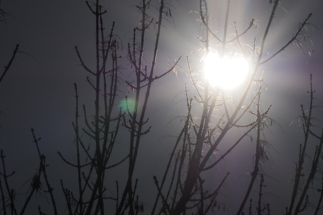 Фоторепортаж солнечного затмения. В Туле солнце закрылось на 65%