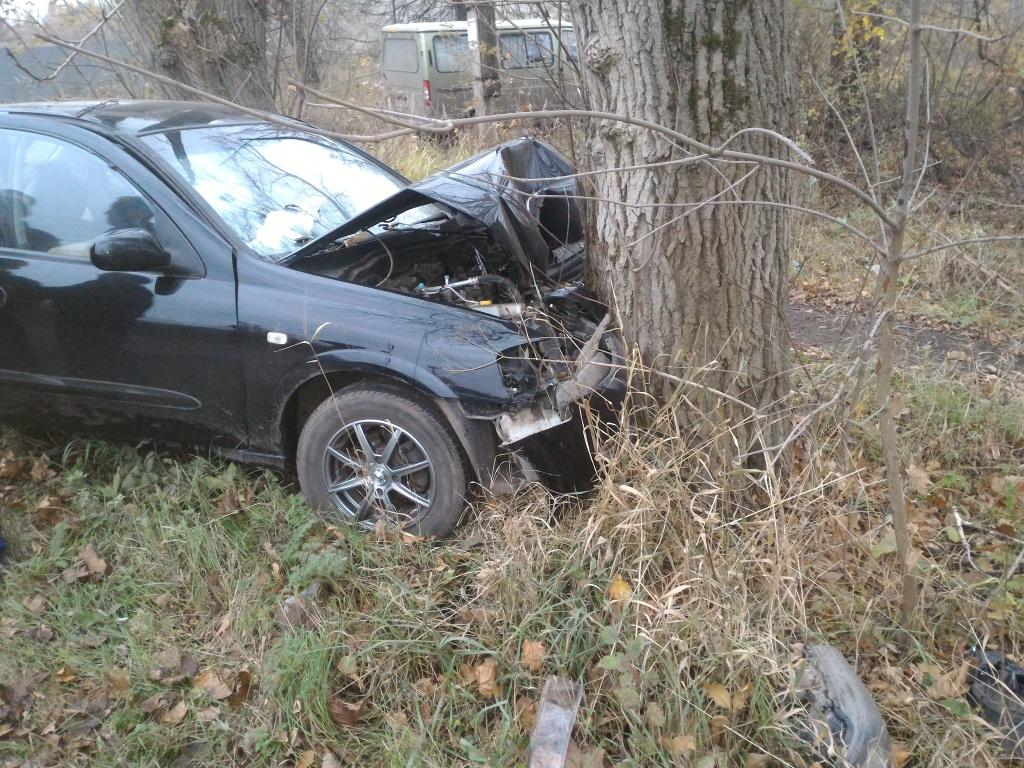 В Донском пьяный водитель разбил машину о дерево | 21.10.2016 |  Происшествия | Центр71 - все новости Тулы