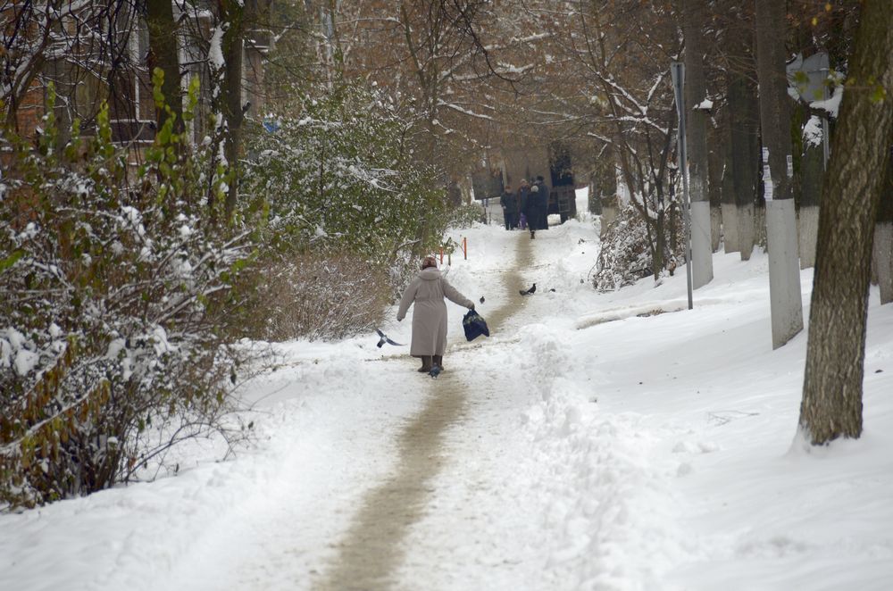 Снег в городе: фоторепортаж Снег в городе: фоторепортаж